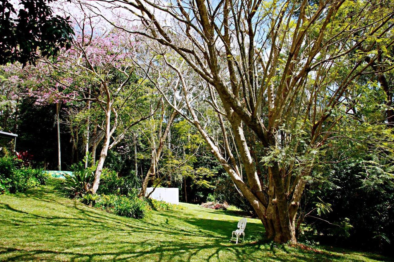 Maleny Monet Studio Luaran gambar